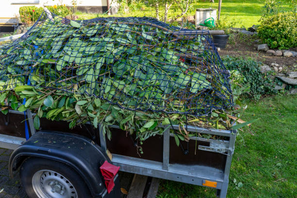 Best Estate Cleanout  in Westfield, NJ